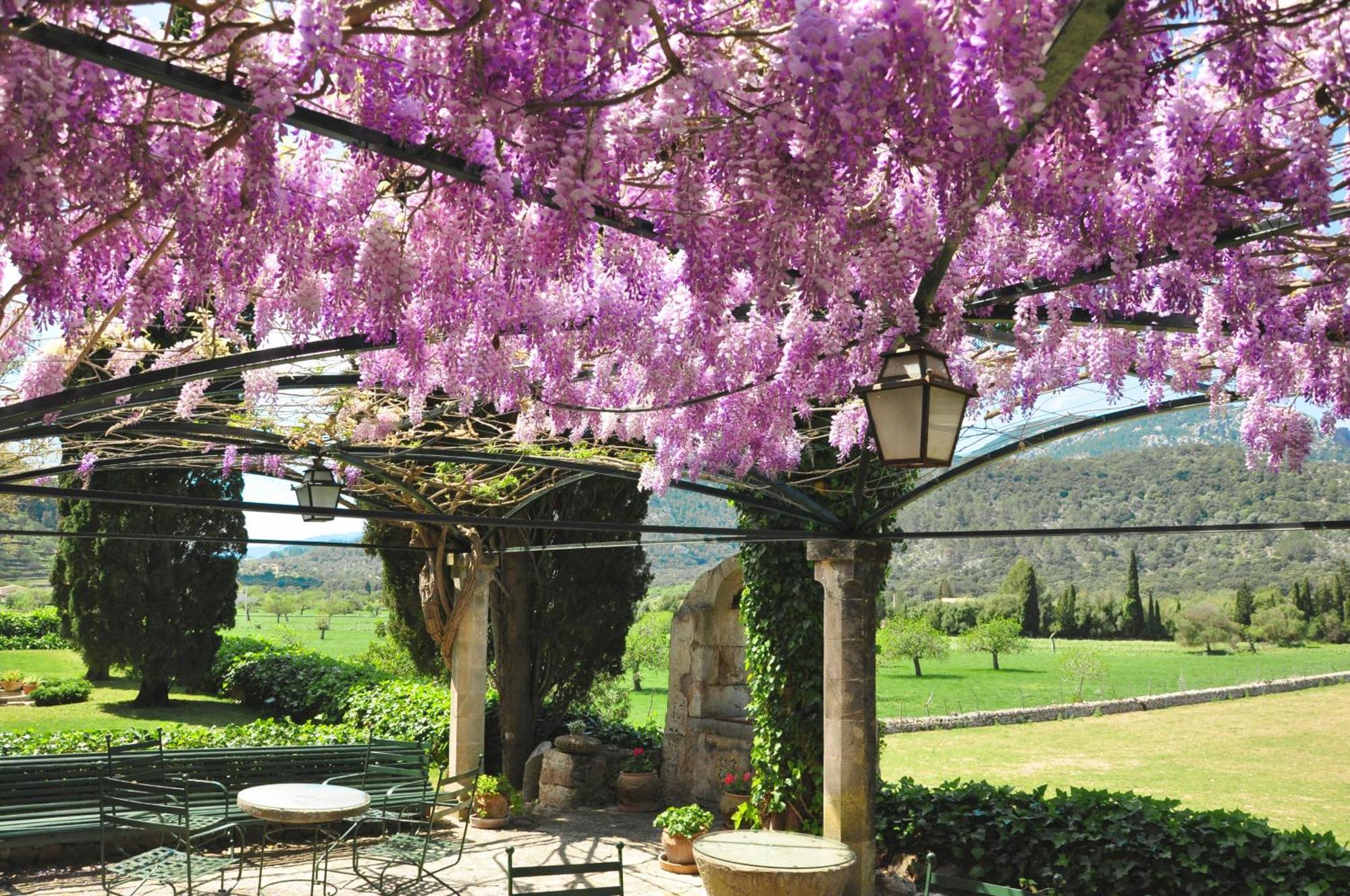 Fangar Agroturismo Campanet Exterior photo